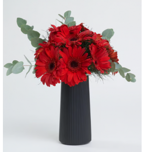 Siyah Çizgili Polimer Vazoda Kırmızı Gerbera Çiçekleri